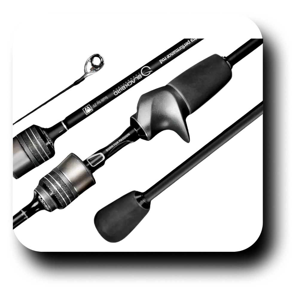 Aurelian BlackBird UL+